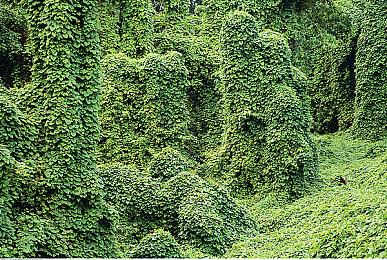 树立行业新标杆！《GTA6》需要这15个独特的玩法特色