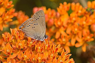 《地球防卫军6》Steam版7月25日发售 支持中文